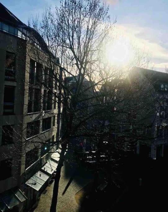 Charmantes 1Zi Apartment Im Herzen Von Braunschweig Mit Balkon Zewnętrze zdjęcie